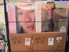 -浣熊唱片店(上海影城店)