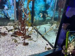 -合肥海洋世界