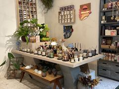 -PlantsEatery·植物食堂(REX春熙店)
