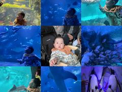 -太平洋海底世界