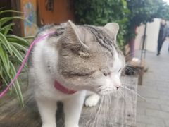 -飘香酒馆·私房菜