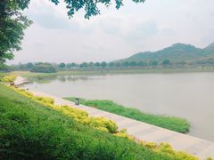 -风云岭森林公园
