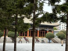 -西宁市东关清真大寺