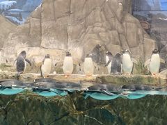 -成都浩海立方海洋公园