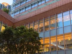 -香港大学