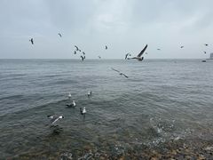 -银沙滩浴场