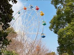 -红山森林动物园