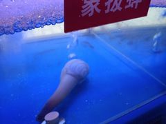 -小龍鳳·港式海鲜打边炉(沙湖路店)