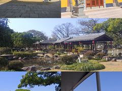 -江心屿景区