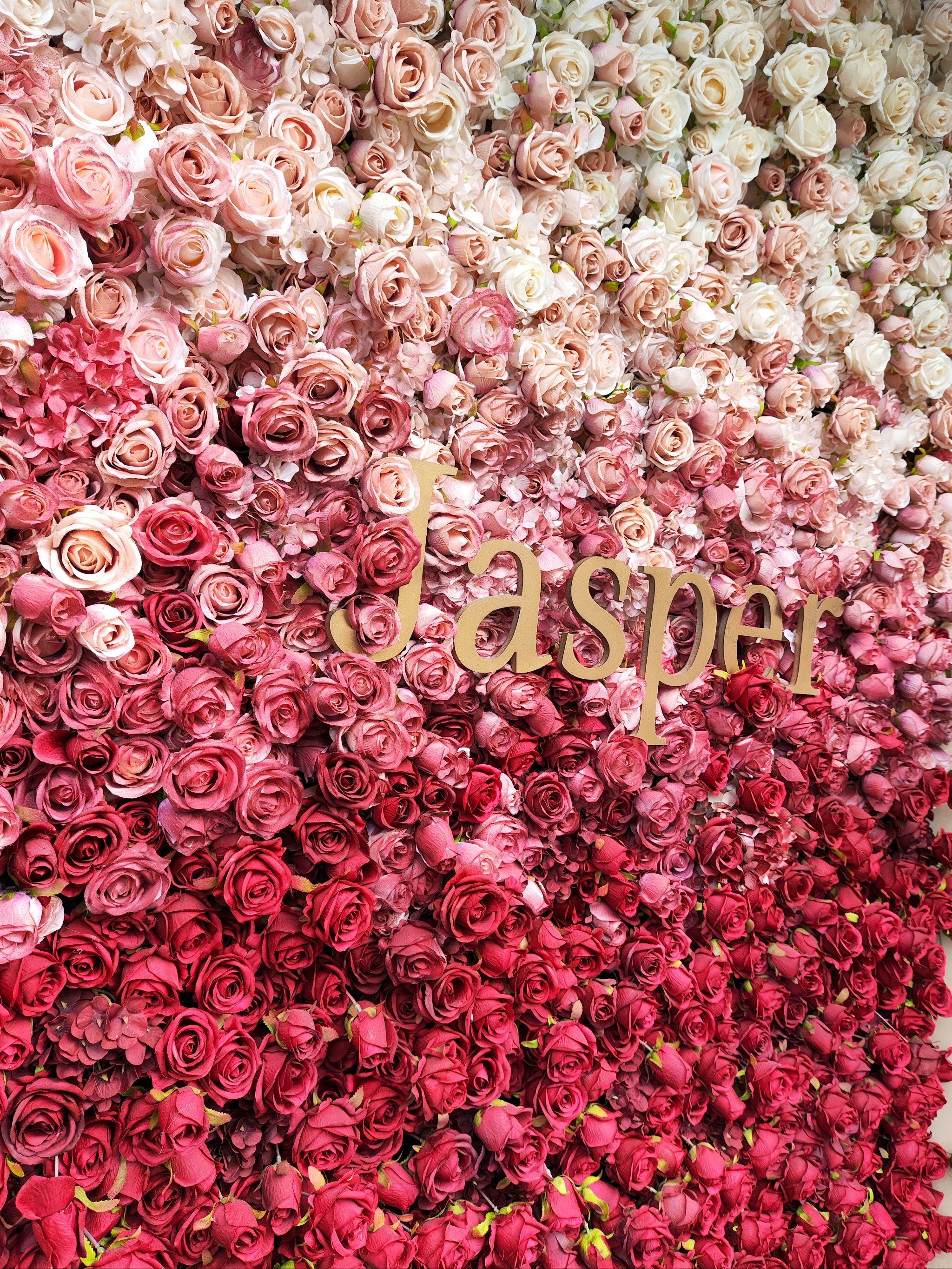 美翻的玫瑰花墙,是东莞的,东莞的