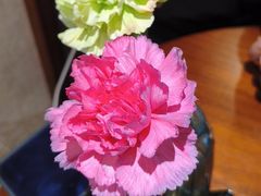 -小西家作(富力爱丁堡店)