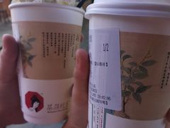 -茶颜悦色(岳麓山顶店)