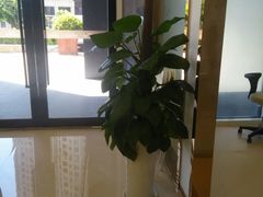 -宁波壹加壹口腔·矫正种植中心