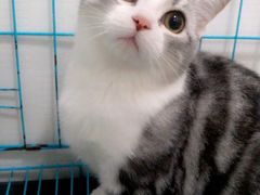 -宠颐生中康贝怡动物医院