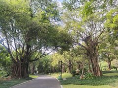 -南宁南湖公园