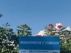 -墨江北回归线标志园