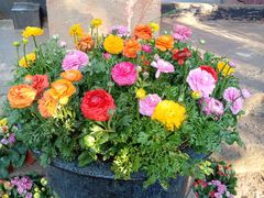 -昆明市金殿名胜区