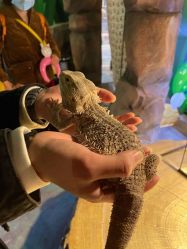 -酷嗒动物文化乐园(cutezoo西溪乐天城店)