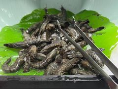 -四囍码头海鲜烧烤自助火锅(外滩南京东路悦荟广场店)
