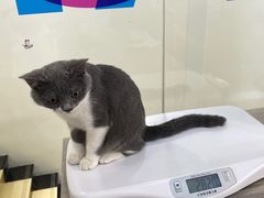 -荔康动物医院(康王北路店)