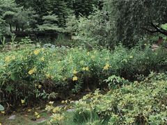 -映月湖公园