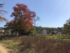 -塔川景区