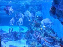 -海合安成都极地海洋公园