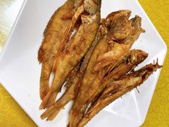 -煲来饱去冷水鱼