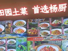 -杨厨的田园饭店(长城路店)