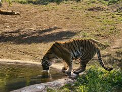 -泉州海丝野生动物世界