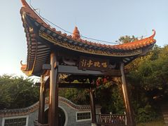 -野狸岛