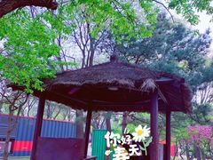 -北京世界公园
