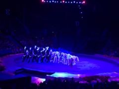 -珠海横琴长隆《卡卡虎奇遇记》