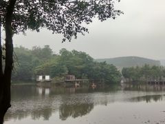 -老木棉·匠园