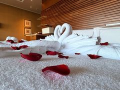 -海南清水湾莱佛士酒店