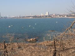 -八大关景区