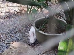 -福建鲤鱼洲酒店