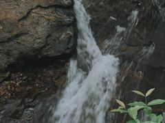 -白鹿洞书院
