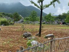 -千岛湖石林