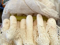 -云南木水花野生菌交易中心