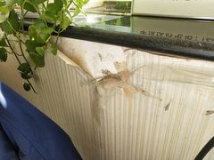 -大顺堂食府(牛街店)