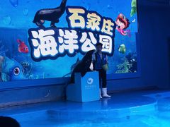 -石家庄海洋公园
