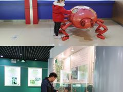 -上海昆虫博物馆