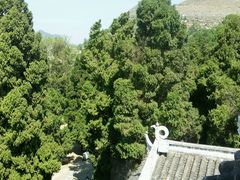android_upload_pic-安龙招堤