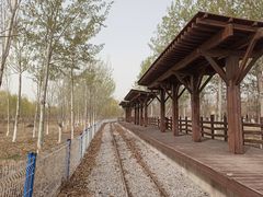 -西青郊野公园
