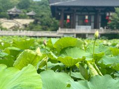 -三国水浒景区(无锡影视基地)