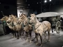 -秦始皇帝陵博物院-丽山园