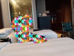 -上海龙之梦万丽酒店