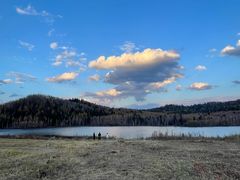 -五营红松林海景区