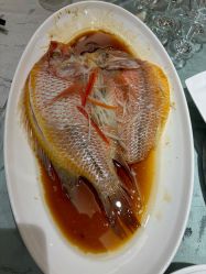 -新锦江大酒店·宴会厅·婚宴